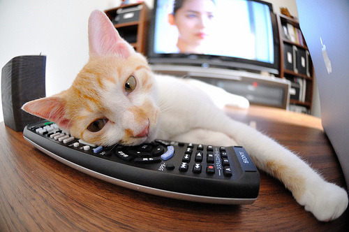 九游网游官网-“足球+互联网++体育+文化”融合发展新格局逐步明朗，如何打造足球体育文化