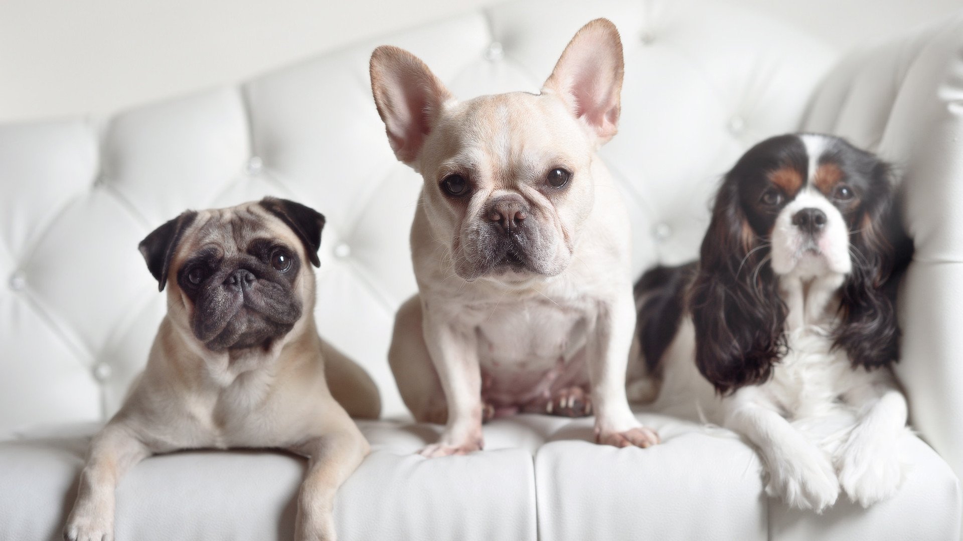 JIU YOU GAME-以“篮球文化+旅游”新模式打造体育旅游产业链，篮球文化之旅